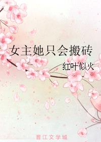 女主她只会搬砖封面